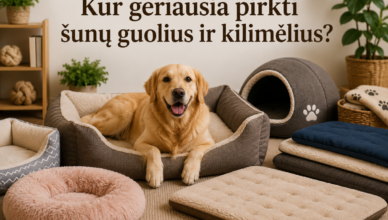 Kur geriausia pirkti šunų guolius ir kilimėlius?