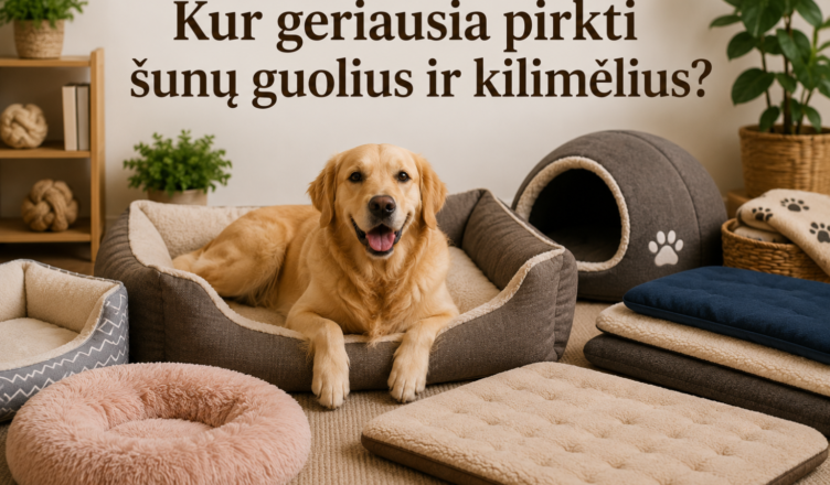 Kur geriausia pirkti šunų guolius ir kilimėlius?